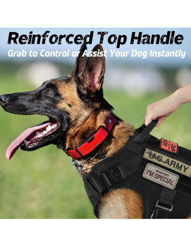 Arnés Táctico Rabbitgoo para Perros Grandes Negro L