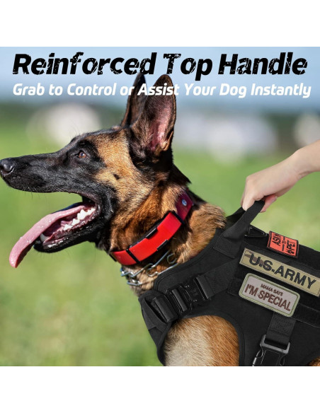 Arnés Táctico Rabbitgoo para Perros Grandes Negro L