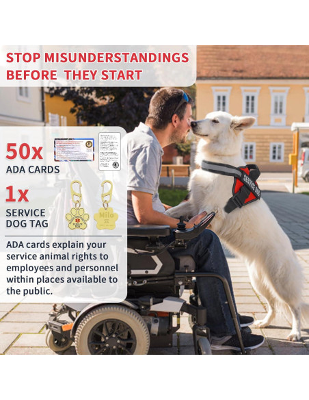 Chaleco para Perro de Servicio Opstin Mediano Rojo con Accesorios Chaleco para Perro de Servicio Opstin Mediano Rojo con Accesorios