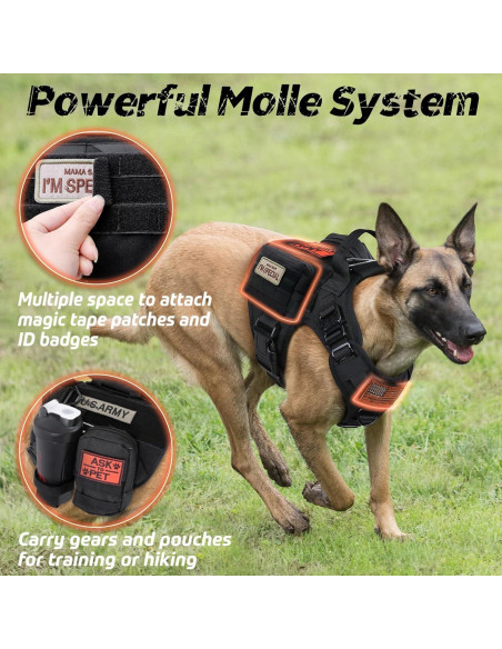 Arnés Táctico Rabbitgoo para Perros Grandes Negro L