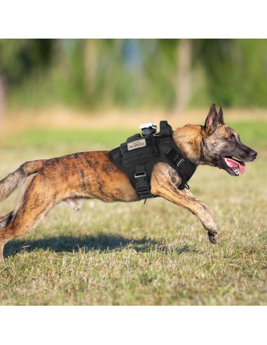 Arnés Táctico Rabbitgoo para Perros Grandes Negro L