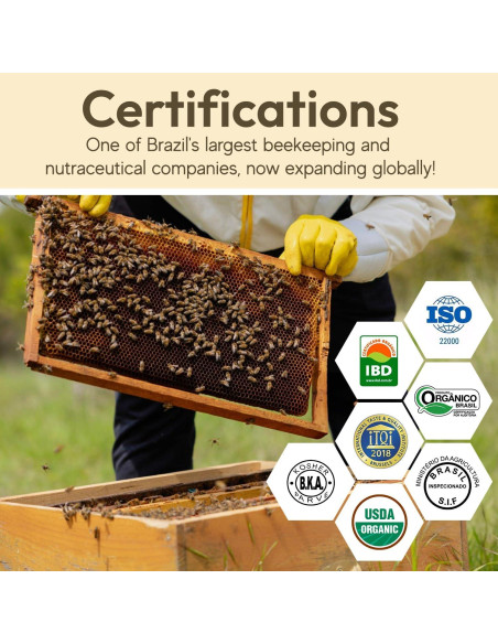 Beelife Spray de Propóleos para Garganta - Paquete de 3 x 90ml