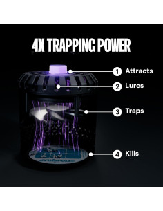 Trampa de Insectos DynaTrap DT152 - Interior, 1 Tarjeta de Pegamento 2