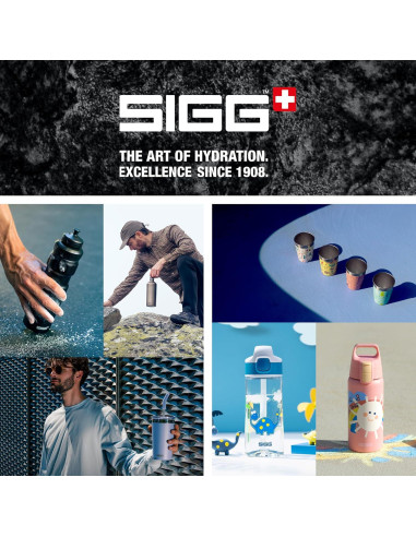 Botella de Agua Acero Inoxidable SIGG Shield ONE 0.75 L Azul