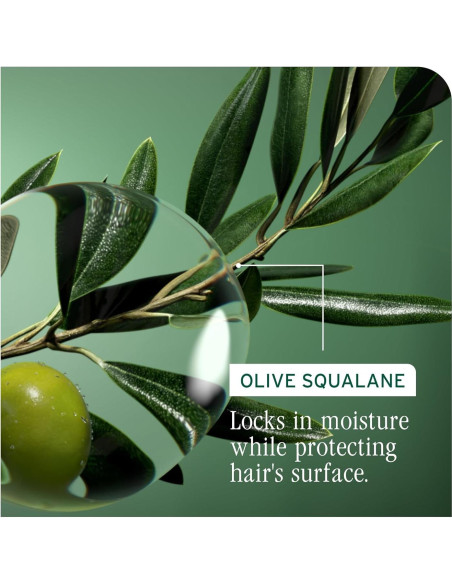 Champú Biolage Recuperación de Fuerza 50 ml - Cabello Dañado Champú Biolage Recuperación de Fuerza 50 ml - Cabello Dañado