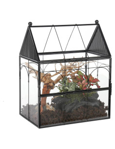 Terrario de Vidrio NCYP 19x12.5x23 cm para Insectos y Arañas