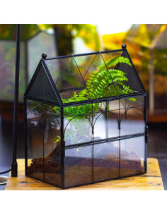 Terrario de Vidrio NCYP 19x12.5x23 cm para Insectos y Arañas 2