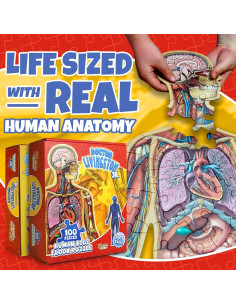 Rompecabezas de Anatomía Humana Genius Games 100 Piezas 2
