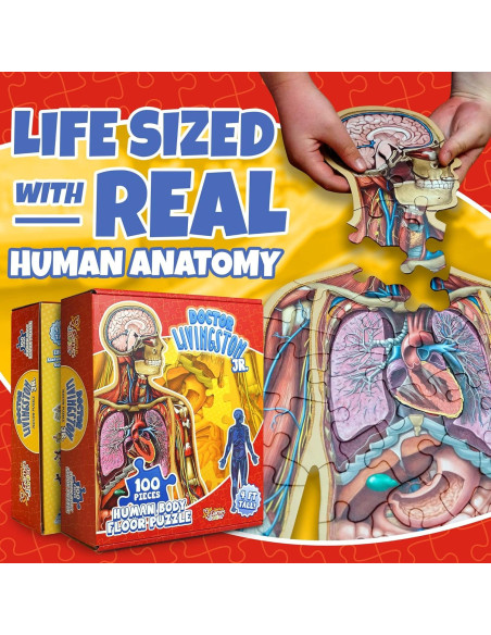 Rompecabezas de Anatomía Humana Genius Games 100 Piezas