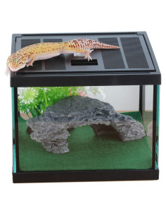 Terrario de Vidrio Crapelles para Arañas y Insectos 19.81x19.81cm