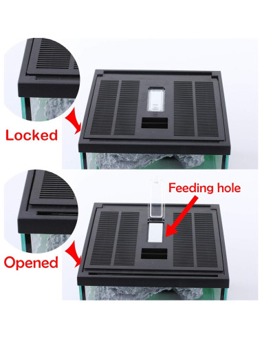 Terrario de Vidrio Crapelles para Arañas y Insectos 19.81x19.81cm