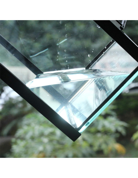 Terrario de Vidrio Crapelles para Arañas y Insectos 19.81x19.81cm