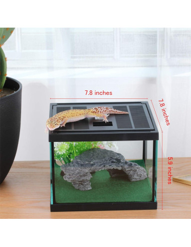 Terrario de Vidrio Crapelles para Arañas y Insectos 19.81x19.81cm