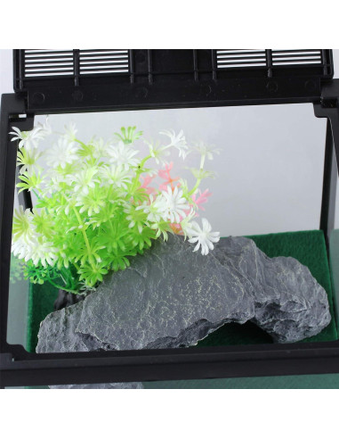 Terrario de Vidrio Crapelles para Arañas y Insectos 19.81x19.81cm