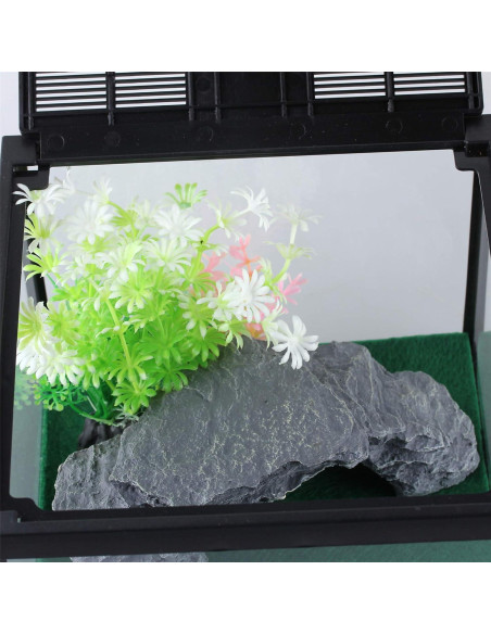 Terrario de Vidrio Crapelles para Arañas y Insectos 19.81x19.81cm