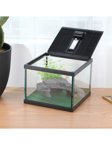 Terrario de Vidrio Crapelles para Arañas y Insectos 19.81x19.81cm