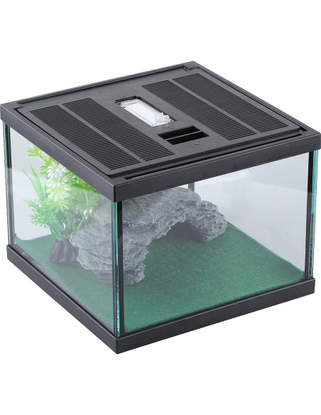 Terrario de Vidrio Crapelles para Arañas y Insectos 19.81x19.81cm