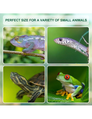 Tanque de Cría para Reptiles BETAZOOER 29x20cm con Higrómetro