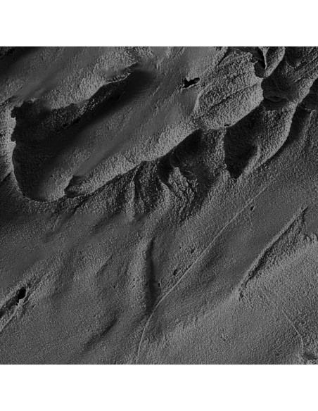 Polvo de Cabello VOLLUCK Instantáneo Negro - Cubre Raíces Grises