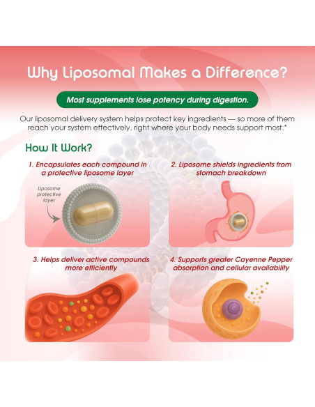 Suplemento Digestivo Liposomal Vital Herbal 150 Cápsulas