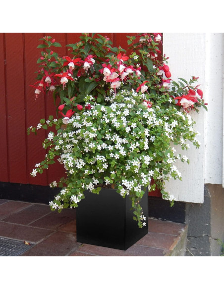 Maceta Cuadrada Negra GZGNEEVL 40.64 cm Acero Galvanizado Maceta Cuadrada Negra GZGNEEVL 40.64 cm Acero Galvanizado