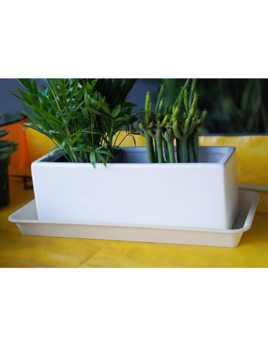 Paquete de 6 bandejas de goteo VUWEZ para plantas 27.94x15.24cm beige