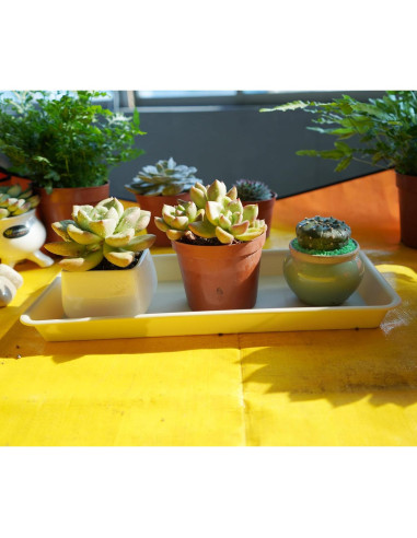 Paquete de 6 bandejas de goteo VUWEZ para plantas 27.94x15.24cm beige