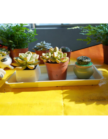 Paquete de 6 bandejas de goteo VUWEZ para plantas 27.94x15.24cm beige