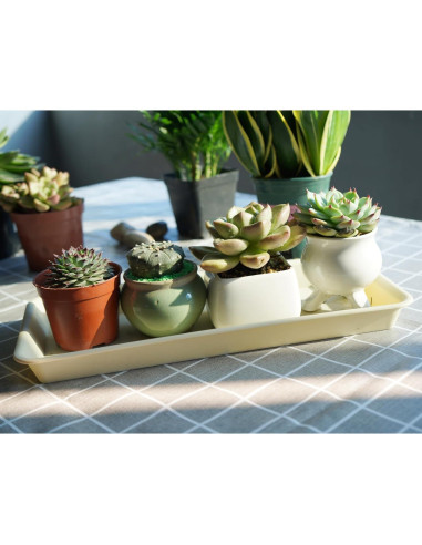 Paquete de 6 bandejas de goteo VUWEZ para plantas 27.94x15.24cm beige