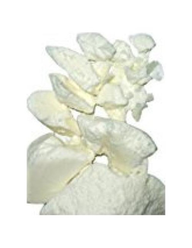 Manteca de Mango Cruda Yellow Brick Road 480g