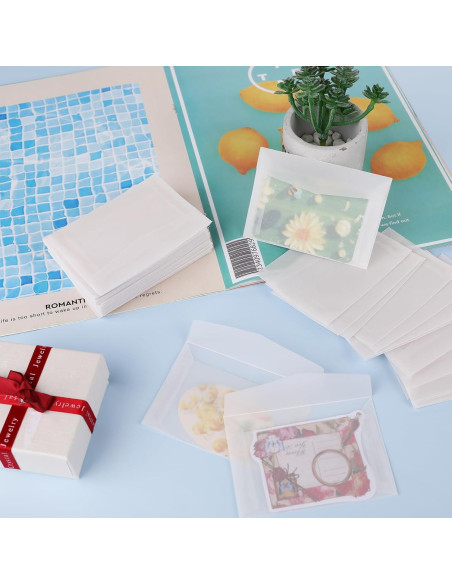 100 Sobres Transparentes 7x10cm Abeillo para Semillas y Boletos