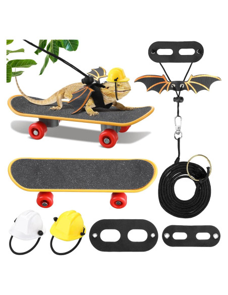 Conjunto de Juguetes para Dragón Barbudo Chivao - 5 Piezas