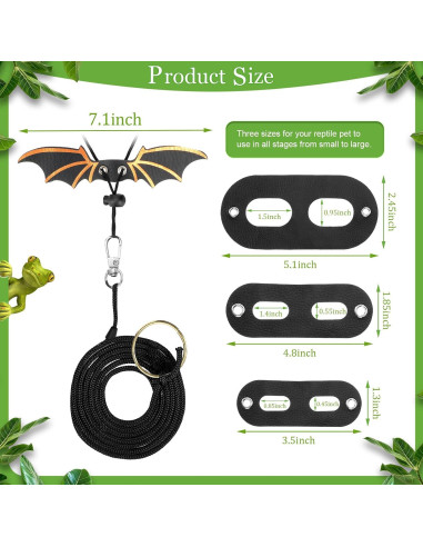 Conjunto de Juguetes para Dragón Barbudo Chivao - 5 Piezas