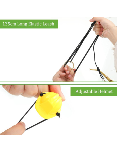 Conjunto de Juguetes para Dragón Barbudo Chivao - 5 Piezas