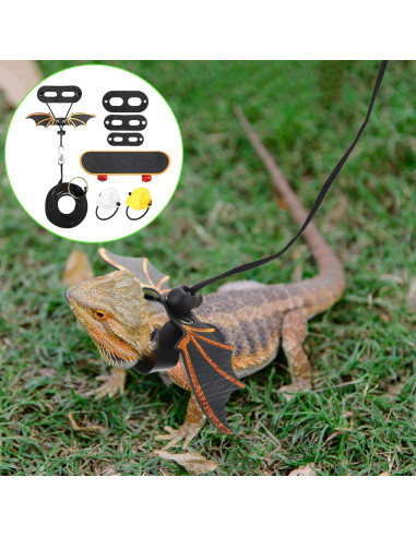 Conjunto de Juguetes para Dragón Barbudo Chivao - 5 Piezas