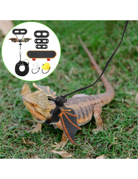 Conjunto de Juguetes para Dragón Barbudo Chivao - 5 Piezas