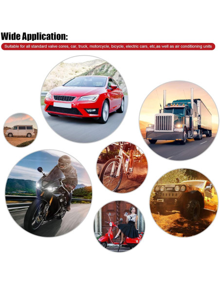 Herramienta de Extracción de Vástago de Válvula ZHSMS - 20 Núcleos y 10 Tapas