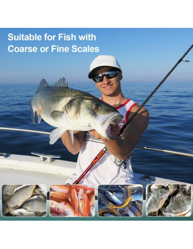 Escalador de Pescado SUCCFLY de Acero Inoxidable 19 cm