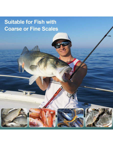 Escalador de Pescado SUCCFLY de Acero Inoxidable 19 cm