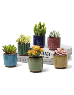 Macetas de Cerámica T4U Pequeñas 6 Piezas 6 cm con Drenaje