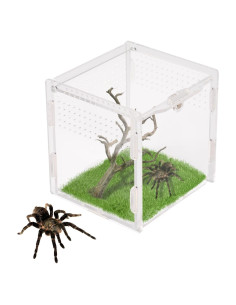 Terrario Acrílico Rislobx para Araña Saltadora 9.4x8.9x8.9 cm