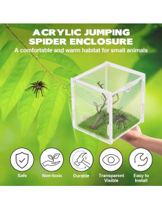 Terrario Acrílico Rislobx para Araña Saltadora 9.4x8.9x8.9 cm 2