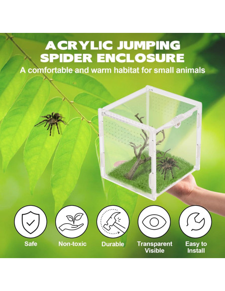 Terrario Acrílico Rislobx para Araña Saltadora 9.4x8.9x8.9 cm