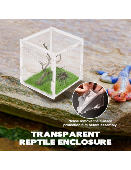 Terrario Acrílico Rislobx para Araña Saltadora 9.4x8.9x8.9 cm