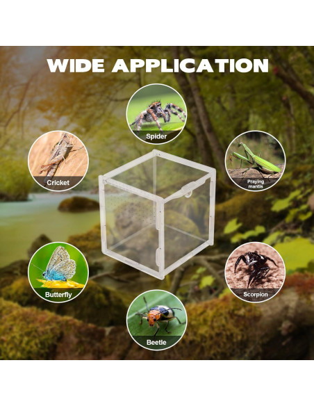 Terrario Acrílico Rislobx para Araña Saltadora 9.4x8.9x8.9 cm