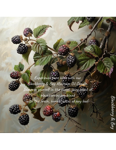 Vela de Aceite de Masaje MELONY 230g - Hidratante Mora y Laurel