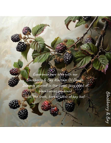 Vela de Aceite de Masaje MELONY 230g - Hidratante Mora y Laurel