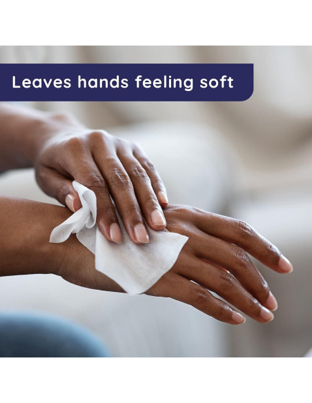 Toallitas Antibacteriales Wet Ones Aroma Fresco 200 Unidades