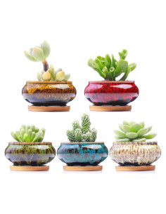 Set de 5 Maceteros de Cerámica LamDawn para Suculentas