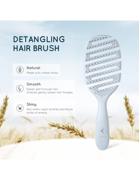 Cepillo Desenredante Ventilado Ecoed Azul para Todo Tipo de Cabello Cepillo Desenredante Ventilado Ecoed Azul para Todo Tipo de Cabello